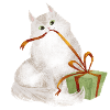 Katze mit Weihnachtsgeschenk