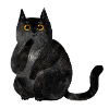 Black Cats Rule