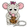 Mouse Finds Cookie
