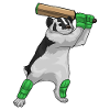 Badger Cricket Cricket Bat