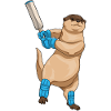 Otter Cricket Cricket Bat