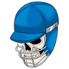 Skull Cricket Helmet