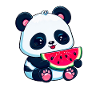 Cute panda eats watermelon