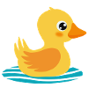 Rubber duck