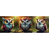 Cute Little Owls