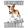 I speak fluent Jack Russell