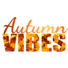 Autumn Vibes - Autumn Feelings