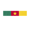 Drapeau du Cameroun Cameroun