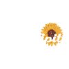 Serendipity