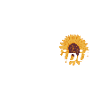 Sérendipité
