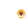 Sérendipité