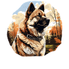 Dog American Akita