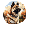 Dog American Akita