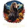 Dog Afghan Hound