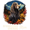 Dog Afghan Hound