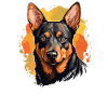 Dog Australian Kelpie