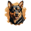 Dog Australian Kelpie
