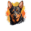 Hund Australian Kelpie