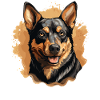 Chien Kelpie australien
