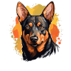 Dog Australian Kelpie