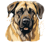 Chien Kangal