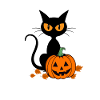 Black Cat Pumpkin Halloween