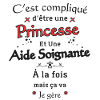 Princesse et Aide Soignante