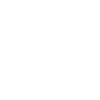 Schnauzer Us Flag
