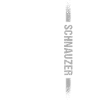 Schnauzer Us Flag