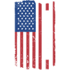 Schnauzer Us Flag