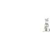 Facilement distrait par Schnauzer
