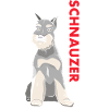Schnauzer Us Flag