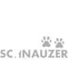 Aimé par un schnauzer