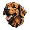 Golden Retriever Dog Head