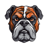 Bulldog Dog Head