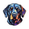 Labrador Dog Head