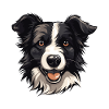 Border Collie Dog Head