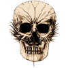 Skull 02- beige