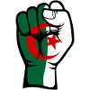 Algeria Flag Fist Hand Symbol