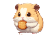 Cookiemonster - Hamster