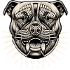 Pitbull