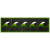 Surfer Logo Green White Black