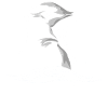 Strand Mafia