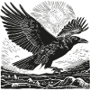 Flying Raven