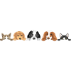 Peeking cute dogs and cats