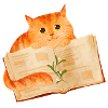 Books Cat