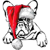 Santa French Bulldog Christmas Wilsigns