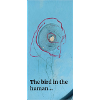The bird in the human