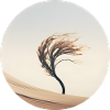 A tree in the wind