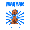 Magyar Vizsla Dad - Magyar Vizsla